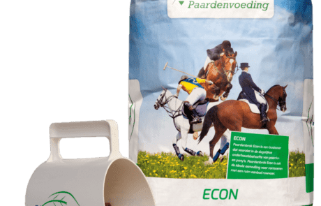 Paardenbrok Econ