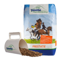 Paardenbrok Prestatie