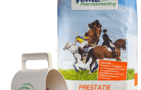 Paardenbrok Prestatie