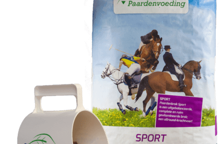 Paardenbrok Sport